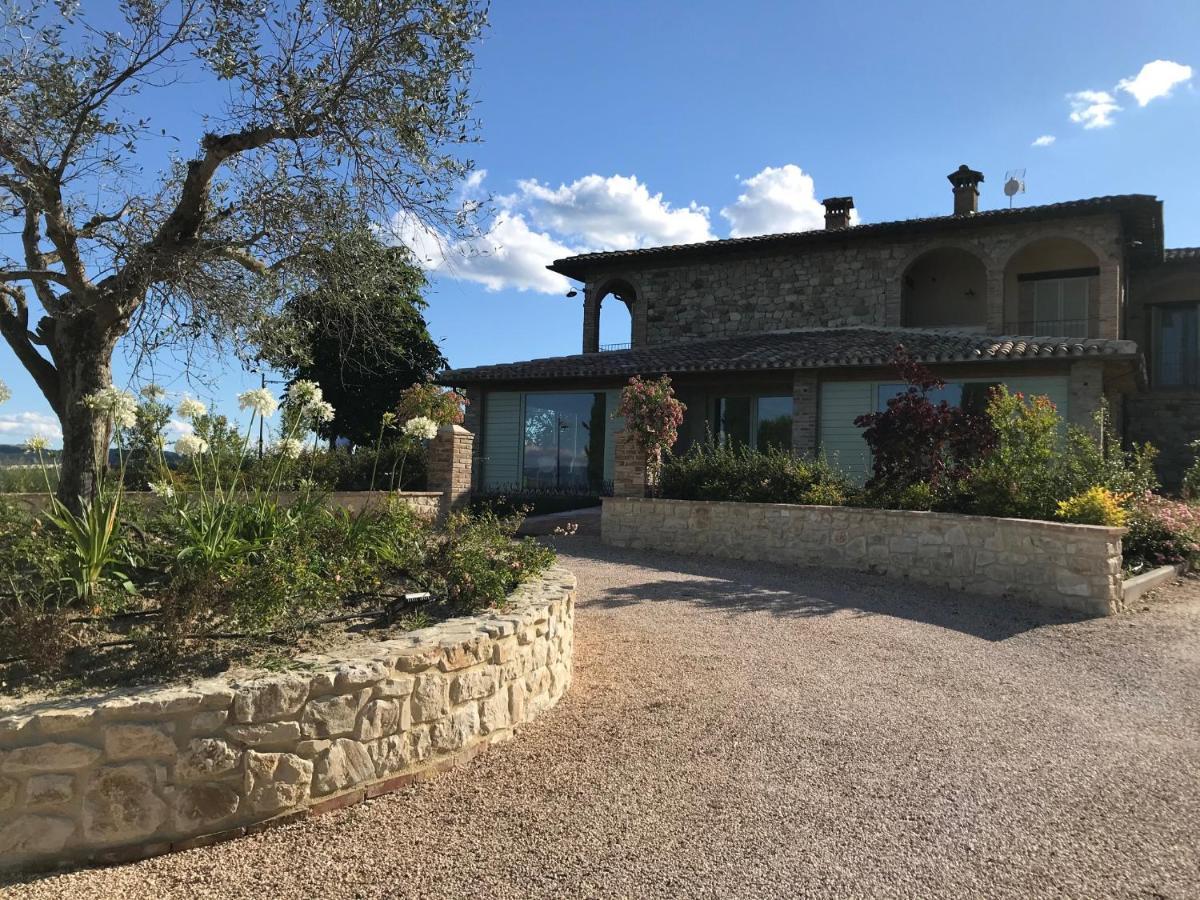 Agriturismo Fattoria Di Monticello 산베난초 외부 사진