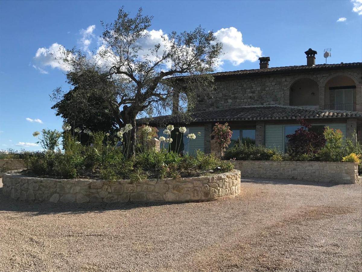 Agriturismo Fattoria Di Monticello 산베난초 외부 사진