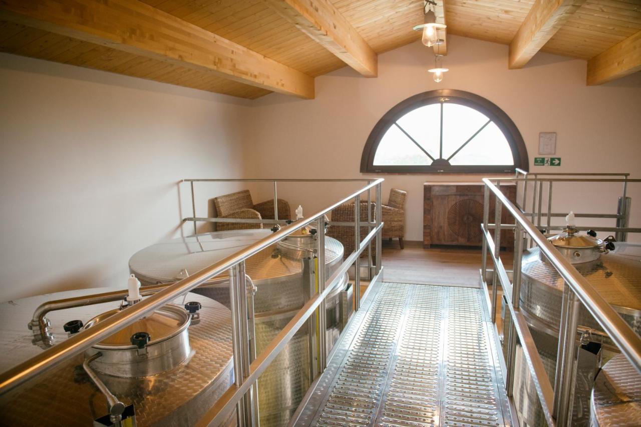 Agriturismo Fattoria Di Monticello 산베난초 외부 사진
